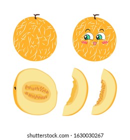 Vector illustration of whole melon, halves and slices on a white background in flat style. Bright set of juicy melon for design.