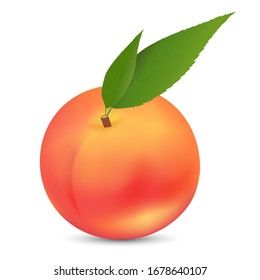 Vector illustration of a whole peach on a white background. Bright saturated color. Realistic performance.
