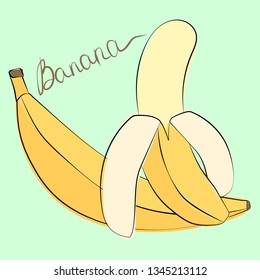 Vector illustration of whole and peeled bananas on pastel green background