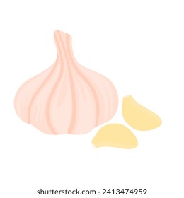 Vector illustration of whole and peeled garlic. Kitchen spices isolated on white background. Suitable for cooking seasoning logos.