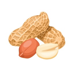 Vector Illustration, Whole And Peeled Peanuts, Isolated On White Background.