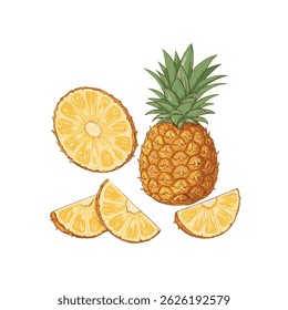 Vector Illustration of Whole Pineapple and Pineapple Slices Tropical Fruit Isolated 