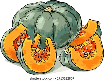 Vector illustration with whole pumpkin and pumpkin slices, pieces