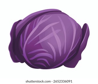 Ilustração vetorial de um repolho vermelho inteiro com folhas roxas detalhadas e padrões de veias curvas. Design fresco e vibrante adequado para embalagens de alimentos, conceitos alimentares saudáveis e visuais de receita.