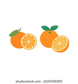 vector illustration of whole and sliced oranges.