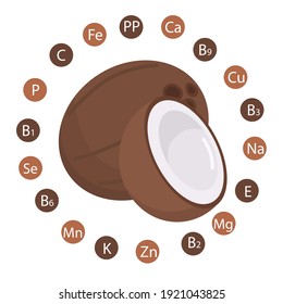 vector illustration of whole and split coconut, showing the vitamins and minerals contained in coconut, the concept of proper and healthy nutrition. 