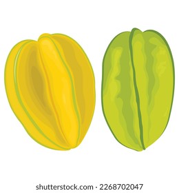 Vektorgrafik von Vollsternobst, halb-grünem Blatt einzeln auf weißem Hintergrund. Gelbe und grüne Carambola im Cartoon-Flachstil. Frisches Starobst für Plakate, Website, Broschüre,