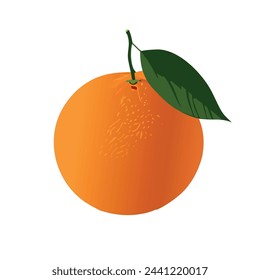 Vector Illustration of a Whole Tangerine