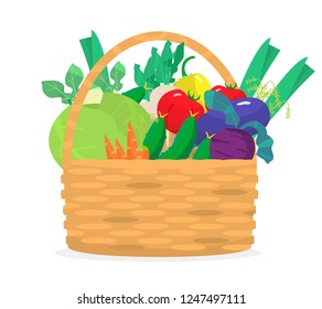 Vector illustration of wicker bascket with different vegetables. Cabbage, carrots, cucumbers, eggplant, radish, tomatoes, potatoes, leek, beet