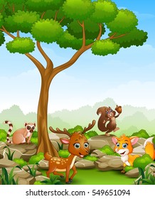 Vector illustration of Wild animal cartoon in the jungle