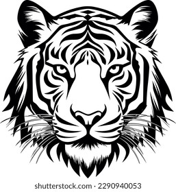 Vector illustration of wild animal. Hand drawn silhouette. Tiger engraving illustration, white background