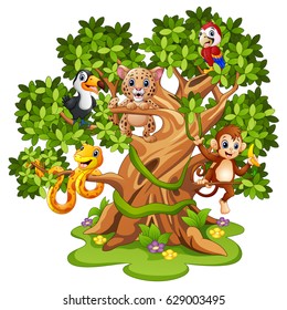 Vector illustration of Wild animals cartoon on the trees