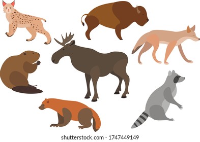 Vector illustration of wild animals. European animals set. lynx, bison, raccoon, coyote, wolverine, beaver.