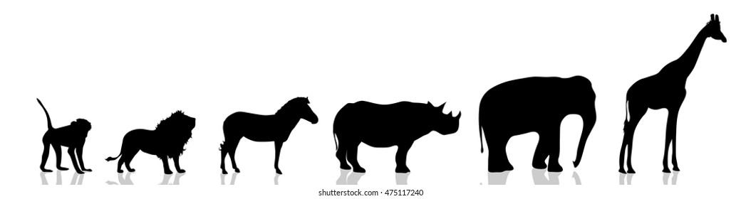 Vector illustration wild animals on white background.