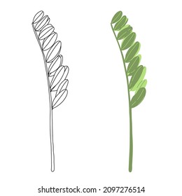 Ilustración vectorial con planta astragal silvestre: doodle de línea y fotografías botánicas coloridas