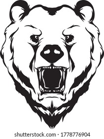 Vector illustration of a wild bear isolated on a white background
