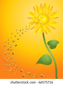 vector illustration of wild bees flying towards a beautiful sunflower on orange background in eps10 format