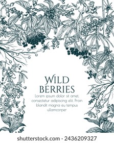 Vector illustration of wild berries in engraving style. Cornus sanguinea, sea buckthorn, rose hips, ligustrum, hawthorn, elderberry, paris quadrifolia, lily of the valley berries