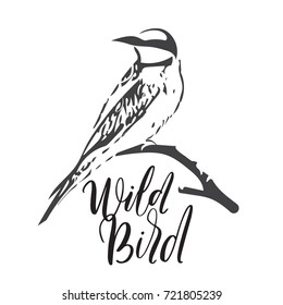 Vector illustration of Wild Bird. Bee-Eater on dry branch