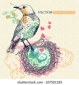 vector illustration of a  wild bird with a nest