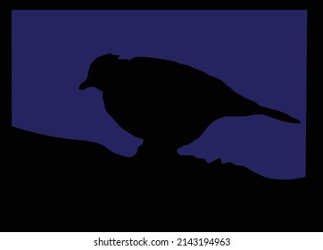 Vector illustration of a wild bird on the ground. Black silhouette on a dark blue background. Blue-black vector background.