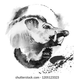 Vector illustration of wild boar in graphic style with ink and water, hand drawing illustration.  Sketch of pgs head with tusk.