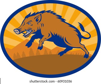 vector illustration of a Wild Boar Pig Razorback Hog attacking with landscape in background