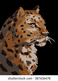 Vector illustration of wild cat in sepia tones.