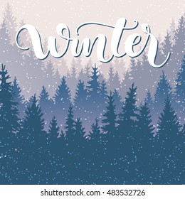 Vector illustration of wild coniferous forest with snowfall in blue and gray tone; nature, tree, evening background with handwritten lettering - winter; cold outdoor park; for poster or postcard;