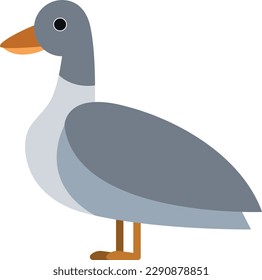 Vector illustration of a wild duck.