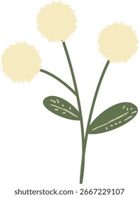 vector illustration of a wild flower. Stylized illustration of a cluster of fluffy flowers on slender stems