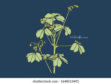 Vector Illustration of Wild Flowers