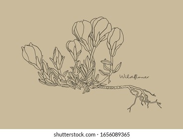 Vektorillustration Illustration von Wildblumen