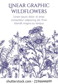 Vektorgrafik von Wildblumen im Gravierstil. Gänseblümchen, Zichorien, Klee, Lavendel
