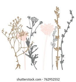 Vector illustration wild flowers  herbs   grasses Thin delicate lines silhouettes different plants    chicory  yarrow  dill  queen anne lace  Soft pastel colors  isolated white background