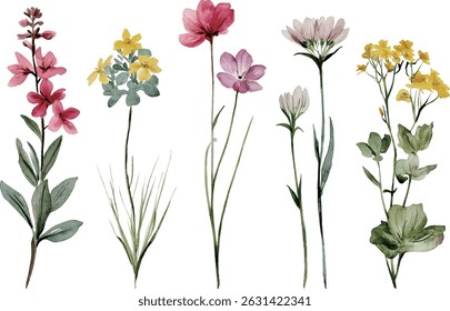 vector illustration of wild flowers isolated on transparent background Ideal for spring designs, wedding invitations, textile patterns, and nature-themed artworks.