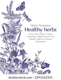 Ilustración vectorial de flores silvestres y plantas rodeadas de mariposas. Chamomile, trébol, helecho, achicoria, lavanda en estilo de grabado