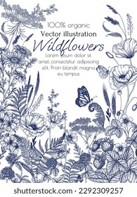 Vector illustration of wild flowers and plants surrounded by butterflies. Chamomile, clover, fern, chicory, poppy, valerian, strawberry, St. John's wort in engraving style