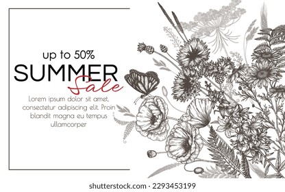 Vector illustration of wild flowers and plants. Chamomile, fern, poppy, cornflowers, bluebells in engraving style