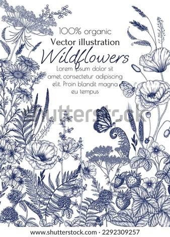 Vector illustration of wild flowers and plants surrounded by butterflies. Chamomile, clover, fern, chicory, poppy, valerian, strawberry, St. John's wort in engraving style