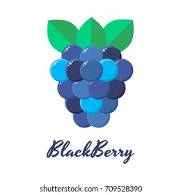 vector illustration of wild forest berries, BlackBerry