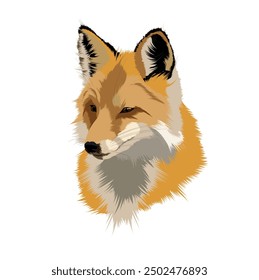 vector illustration of wild fox realism
