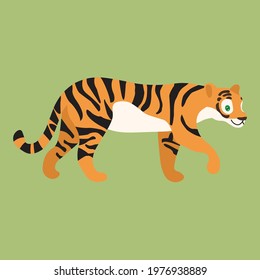 Vector illustration of a wild graceful predatory tiger cat, orange with black stripes handsome, flat style