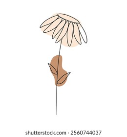 Vector illustration of wild herbs and flowers with patches of brown and green shades on the background, black and white illustration on a white background.