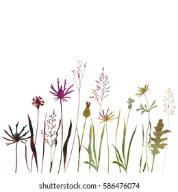 Vector illustration of wild meadow flowers, herbs and grasses.Thin delicate line silhouettes of different plants - johnson's grass, cornflowers, thistles in watercolor style. 
