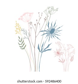 Vector illustration wild meadow flowers  herbs   grasses Thin delicate line silhouettes different plants    johnson's grass  dill fennel  thistle in soft pastel colors 