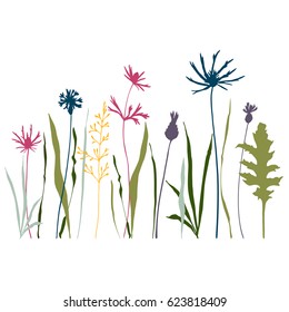 Vector illustration of wild meadow flowers, herbs and grasses.Thin delicate line silhouettes of different plants - cornflowers, thistles and grass in pastel colors. Isolated on white background
