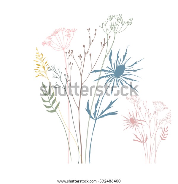 野草の花 ハーブ 草のベクターイラスト 細い線で色とりどりの植物がシルエットで描かれています ジョンソンの草 ディル フェンネル 柔らかいパステル色のアザミ のベクター画像素材 ロイヤリティフリー
