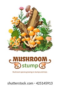 Vector illustration of wild mushroom species growing on stumps and trees with honey fungus shiitake and forest flowers in cartoon style