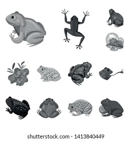 Vector illustration of wild and nature icon. Collection of wild and bog stock symbol for web.